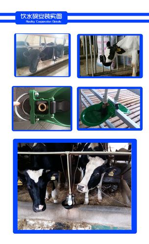 不锈钢碗式饮水器 自来水出水 牛喂水器 4l容量 304不锈钢