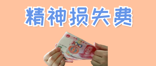 公民下列9种权利受到侵害,可以索要精神损失费!