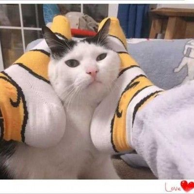 搞怪逗比微信情侣头像图片