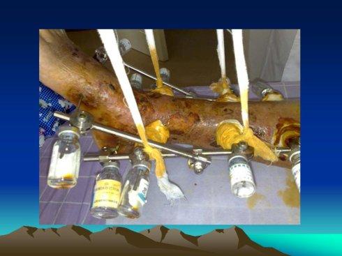 搜寻失事飞机官兵的医疗召唤