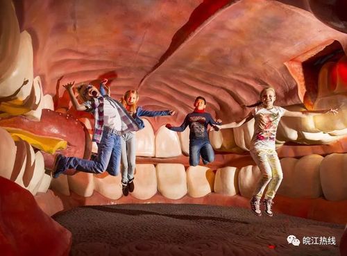 荷兰corpus人体博物馆项目今日在马鞍山郑蒲港新区开工国内首个全球第