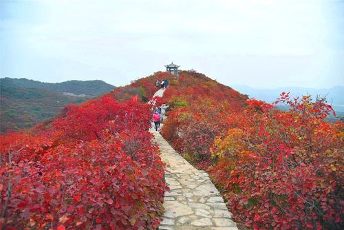 巩义市长寿山红叶_风景_poco摄影
