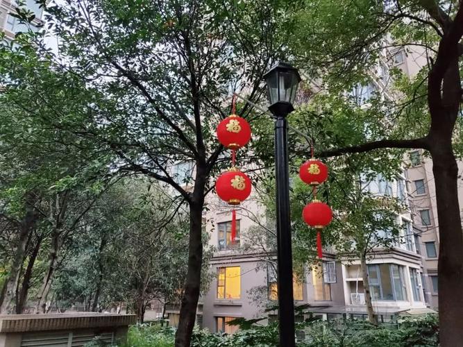 春节快到了,小区内的路灯都已经挂上了喜庆的红灯笼,浓浓的年味来袭!