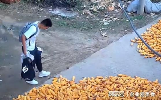山东一同学国庆回家,刚到家就被催着去收玉米,网友:劳动最光荣