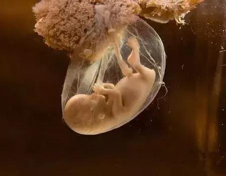 神奇孕事——宝宝从肚子里开始就懂得感恩了!