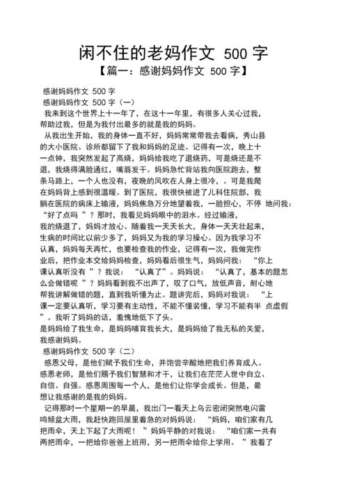 作文范文之闲不住的老妈作文500字.docx 6页