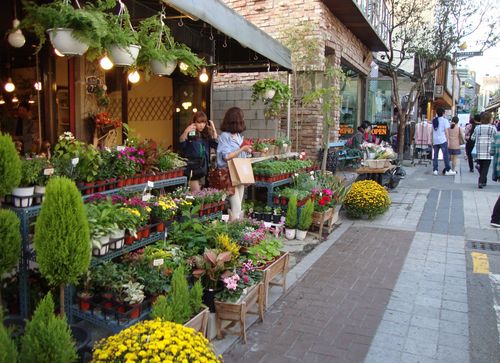 盆栽花店门口装修效果图片
