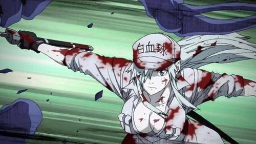 tv动画「工作细胞black」特别pv发布