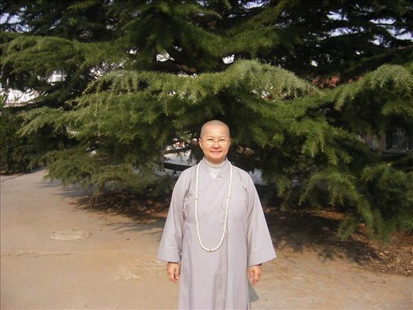 转载上宽下如法师简介