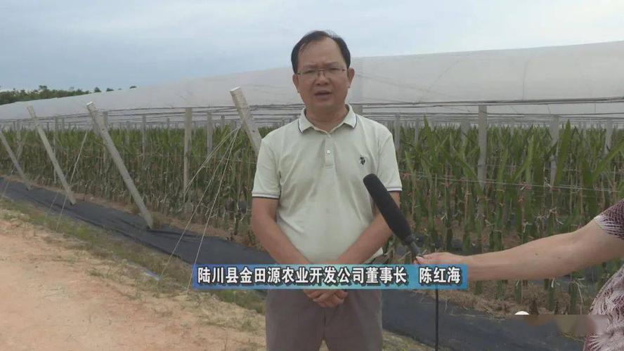 陆川县温泉镇洞心村:小产业规模化在扶贫开发上结出"硕果"