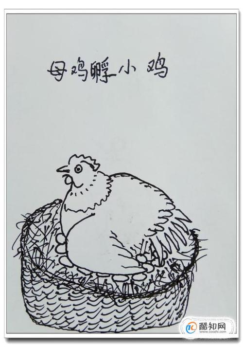 怎样用钢笔画"母鸡孵小鸡"?