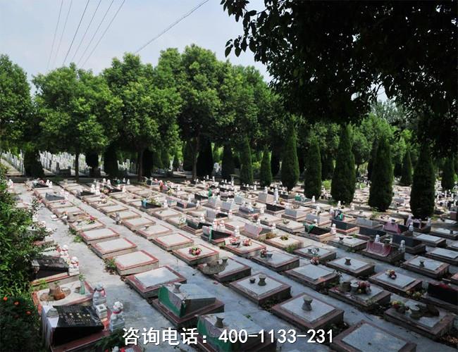 济宁墓地网-济宁陵园-济宁殡葬服务 -济宁殡仪服务