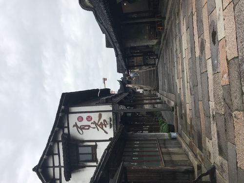 乌镇行『西栅景区』
