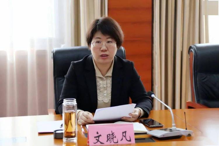 文晓凡到叶县产业集聚区调研企业停产情况