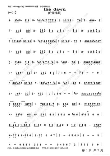 我的口琴之路附c调简谱一个命中注定音乐巅峰是小星星的男人