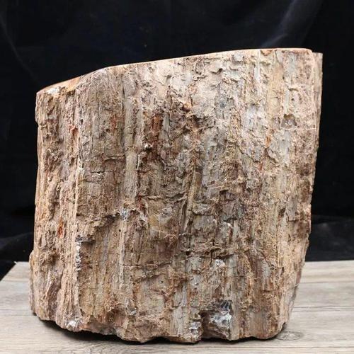 辽西朝阳木化石树化玉硅化木原石摆件天然奇石观赏石