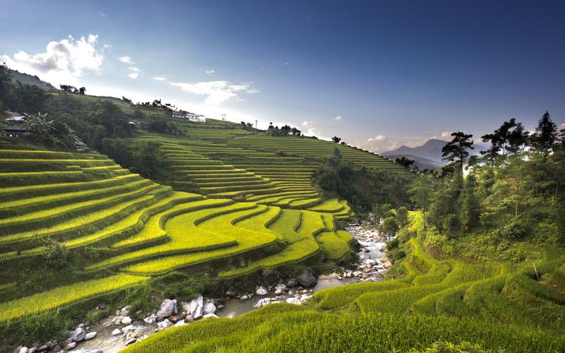 绿色护眼梯田美景图片桌面壁纸