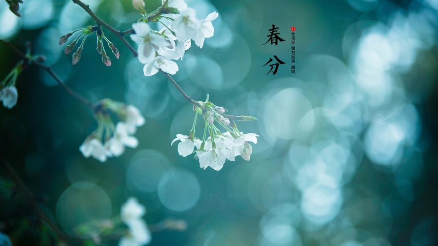 唯美春分节气创意高清桌面壁纸
