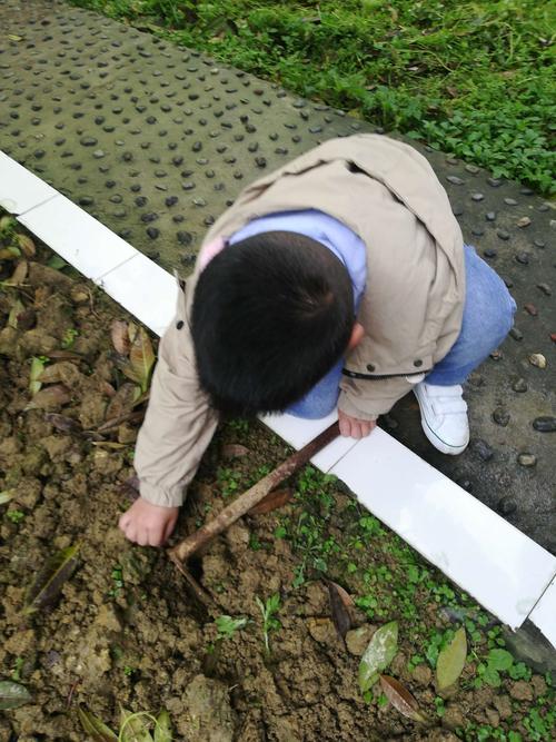 小小园艺师