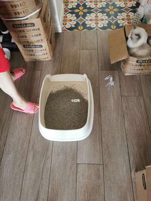 又是清洗,消毒猫砂盆,换猫砂的一天_猫砂盆_猫砂_养猫