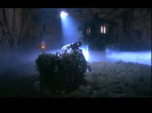 神雕侠侣古墓图片