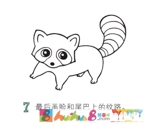 小浣熊简笔画彩色图片