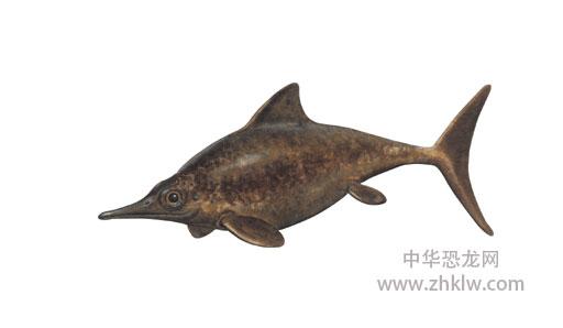 大眼鱼龙_侏罗纪_鱼龙类食肉海洋爬行动物_恐龙网