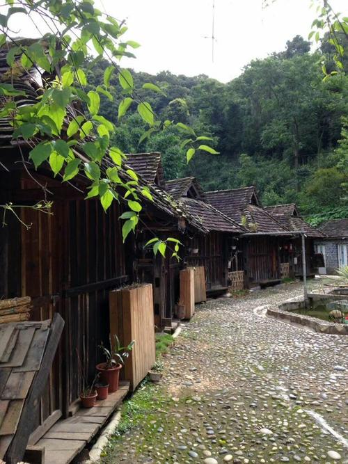 甲骨文走进西双版纳古村寨