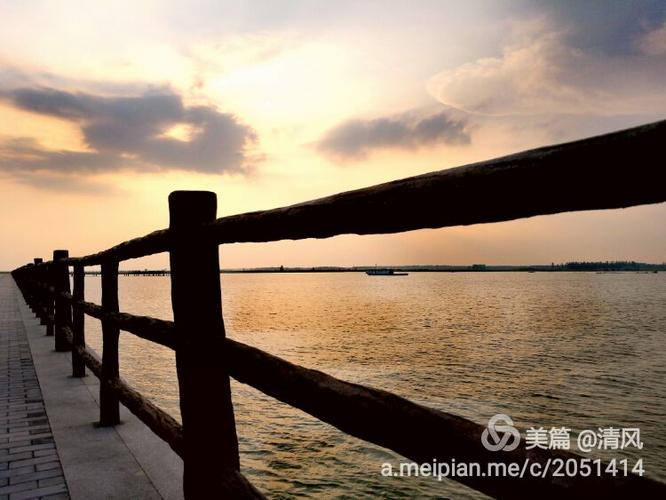 随拍(17)一一泗阳成子湖风光