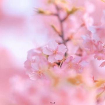 五月带清新唯美头像风景图片 2020五月份清新微信风景