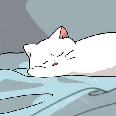 超可爱动漫小白猫咪头像图片