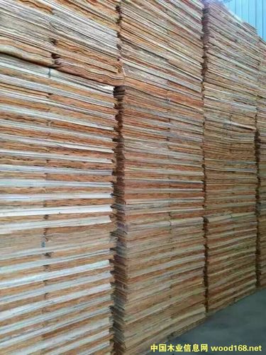 旋切按木单板/桉木单板/桉木中板/桉木芯板/桉木薄板