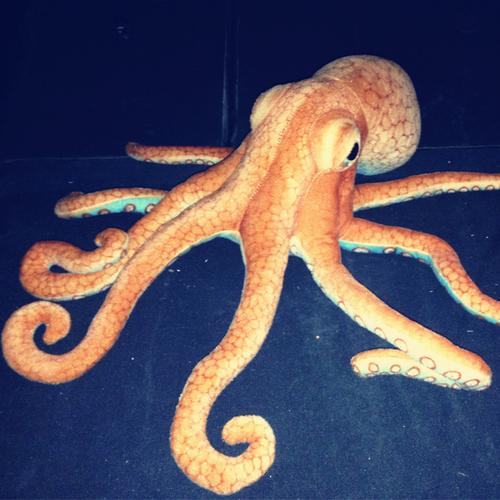 生产仿真海洋动物毛绒玩具章鱼八爪鱼超逼真动物园海洋馆