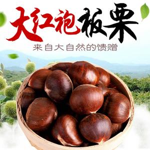 5斤送二两装天目山脉广德大红袍板栗毛栗农家现摘野生大栗子包邮