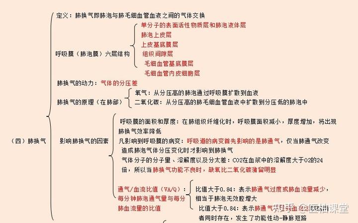 生理学框架图医学生必备