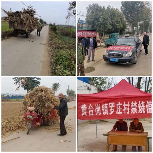 黄台岗镇: 又是充实的一天,看那一个个忙碌的身影