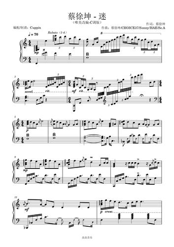 蔡徐坤《迷》cuppix改编 - c调版
