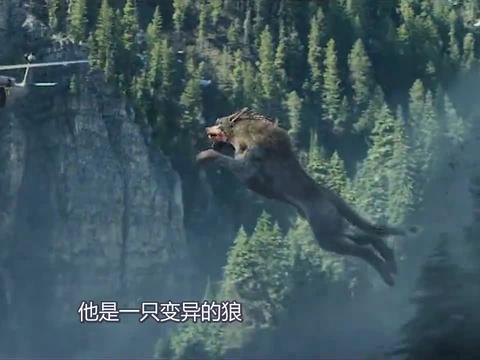三只动物的基因被改造变异后长出翅膀的狼拥有毁灭城市的力量