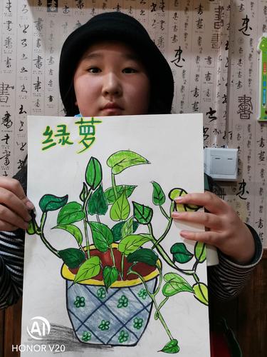 2020/11/07-08黑白画室初级三班【写生——绿萝】辅导