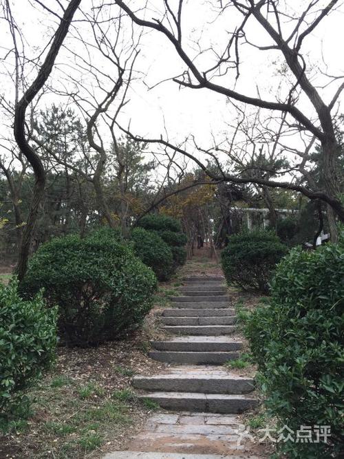贮水山公园-贮水山公园图片-青岛生活服务-大众点评网