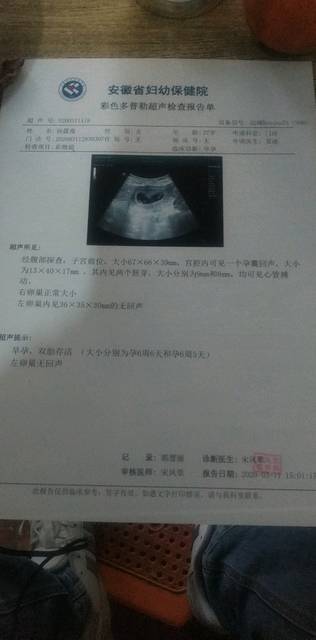 刚查的双胞胎太意外了