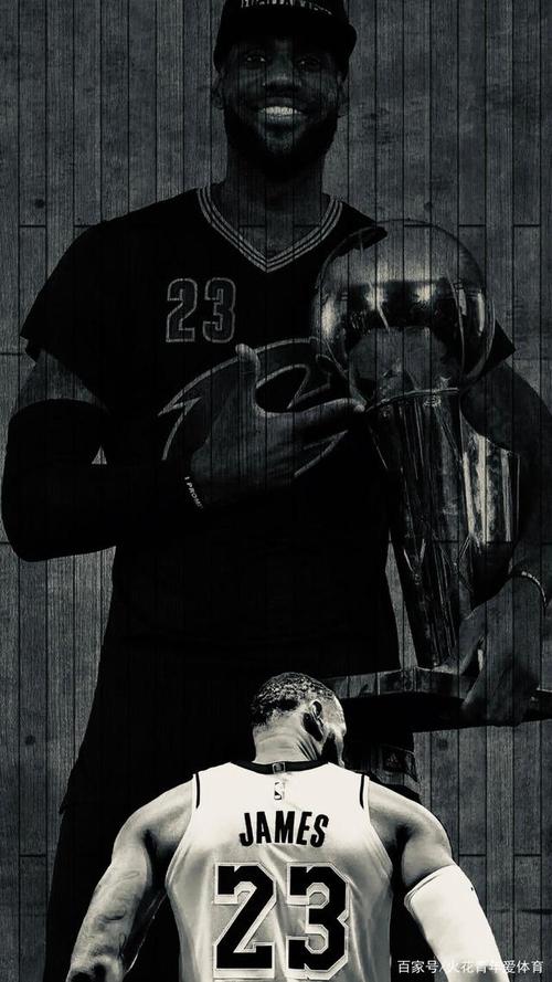 詹姆斯壁纸(银色调系列)