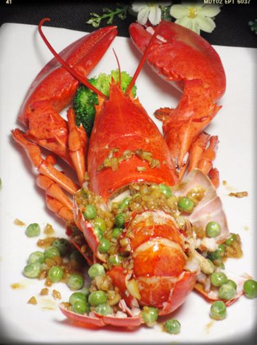 中国美食大龙虾简笔画视频