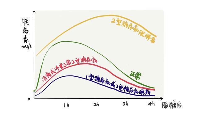 (1)胰岛素分泌 减少型