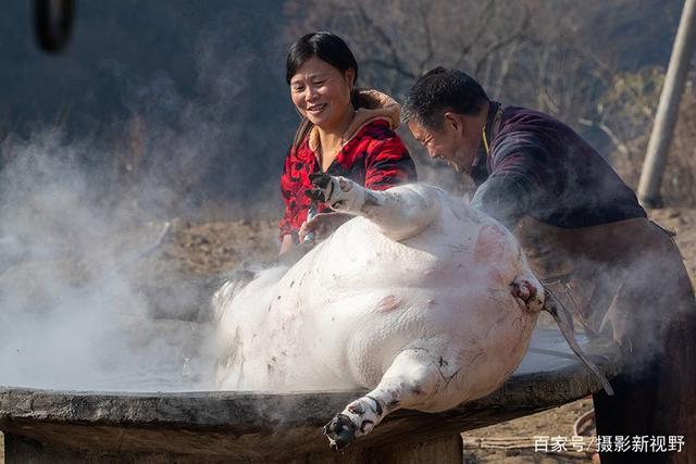 垒起大锅台杀猪,年味渐浓.