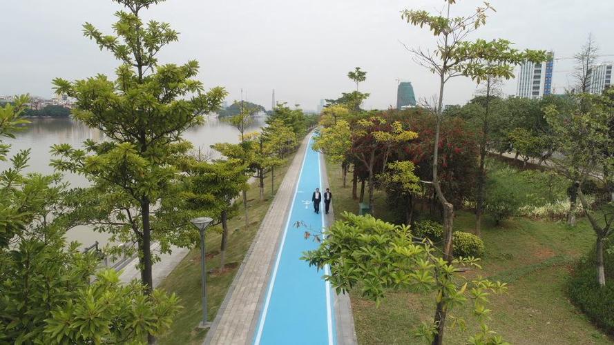 广州国际生物岛6.6公里的示范性碧道来了!