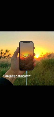 一组百看不厌的壁纸,绝对一眼爱上!