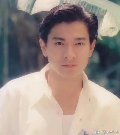 刘德华张涵予范伟17年再合体