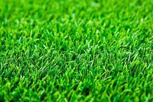 草地草坪背景素材图片