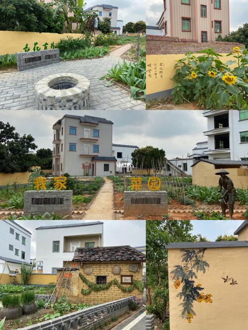 茂名高州杏花村94_杏花村_杏花村攻略_种花_风景_水果_出行_人文